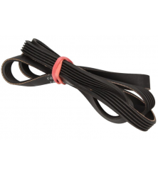 1194PJ5 CORREIA POLY V N/...