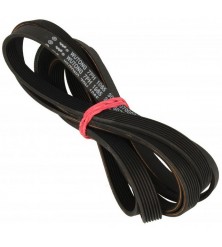 Correia MSR Becken