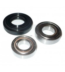 Kit de Rolamentos 00425641